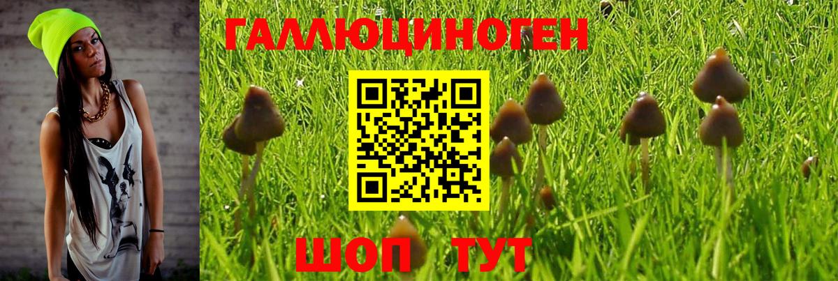 Бошки Шишки Гудермес