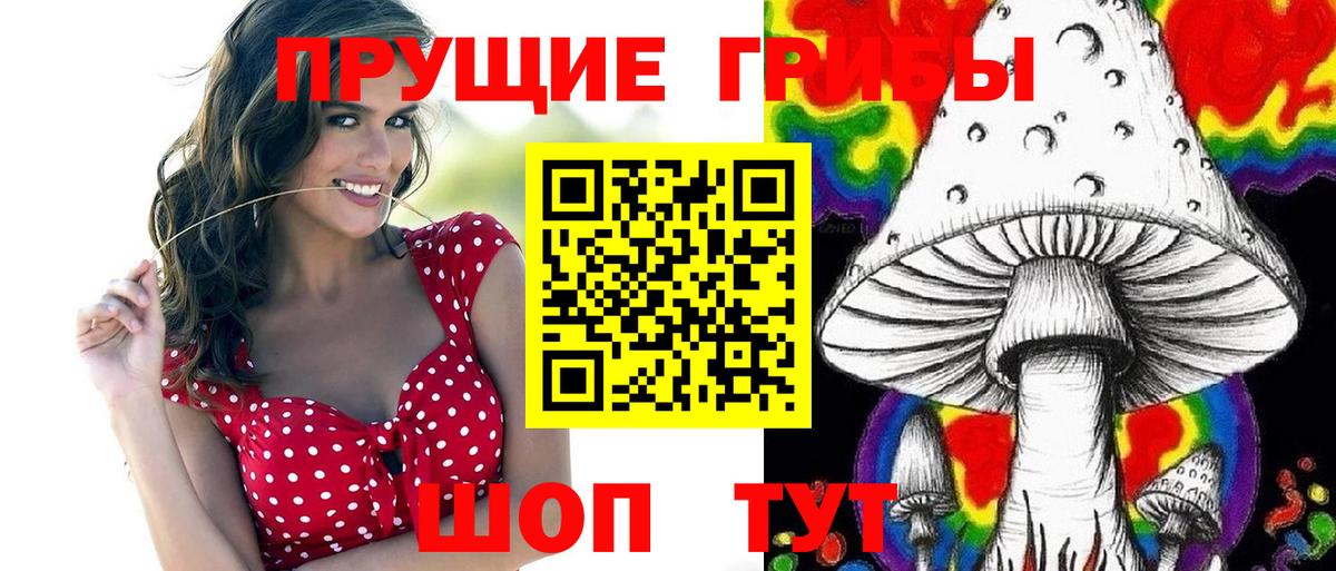 Гудермес  Псилоцибиновые грибы мухоморы  Псилоцибиновые грибы Psilocybe  Вход с VPN 